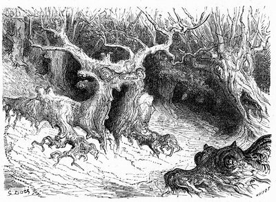 Monstrózní buky v údolí Ossau, antropomorfní monstrózní stromy. Rytina Gustava Doreho ilustrující knihu "Voyage aux Pyrenees d