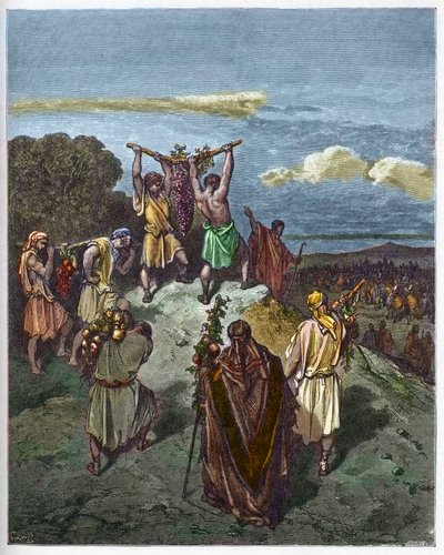 Návrat ze země Kanaán - Návrat Josue a Caleba s obrovským hroznem ze země Kanaán (země zaslíbená) - - rytina v „The Bible illustree“ od Gustava Dore (1832-1883) - Rytina z „“ Dore Bible““ od Gustave Dore