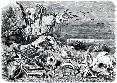 Sindibád námořník (Sindibád) - příběh tisíce a jedné (1001) noci - ilustrace Gustave Dore - vydání Maxwell 1865 - Sedmá a poslední plavba: hřbitov slonů, kde Sindibád získá obranu ze slonoviny od Gustave Dore