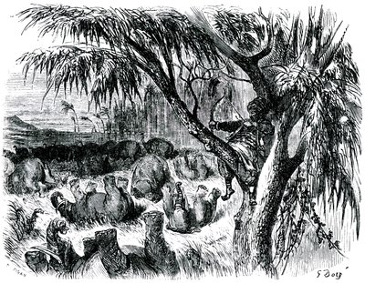 Sindibád námořník (Sindbad) - příběh tisíce a jedné (1001) noci - ilustrace Gustave Dore - vydání Maxwell 1865 - Sedmá plavba: Sindibád, sedící na stromě, táhne lukem za slony. od Gustave Dore
