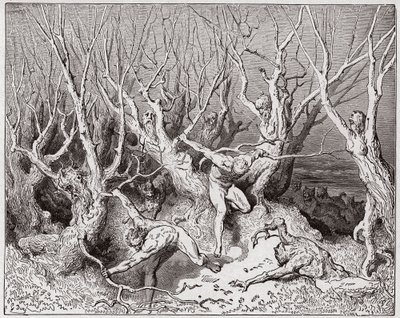 Božská komedie (La Divina Commedia, La Divine Comedie), Inferno, Canto 13: Sebevraždy prchají z lesa - Dante Alighieri (1265-1321) - Ilustrace Gustave Dore (1832-1883) od Gustave Dore