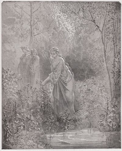 Božská komedie (La Divina Commedia, La Divine Comedie), Purgatorio, Canto 27: Dantův sen o Leah na louce - od Dante Alighieri (1265-1321) - ilustrace Gustave Dore (1832-1883) od Gustave Dore