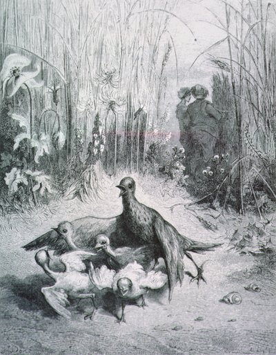 Bajka skřivana, jejích mláďat a mistra pole, ilustrace k Bajkám La Fontaine rnrn od Gustave Dore