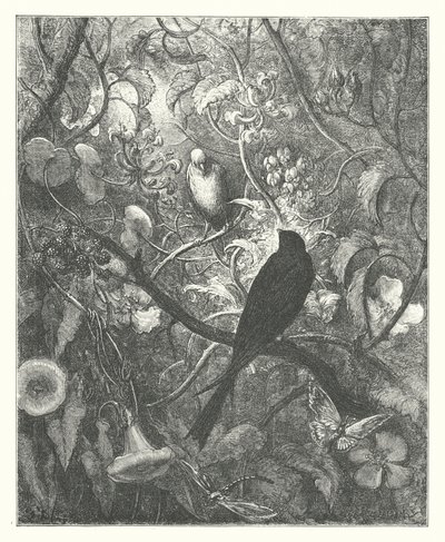 La Fontainovy bajky: (rytina) od Gustave Dore