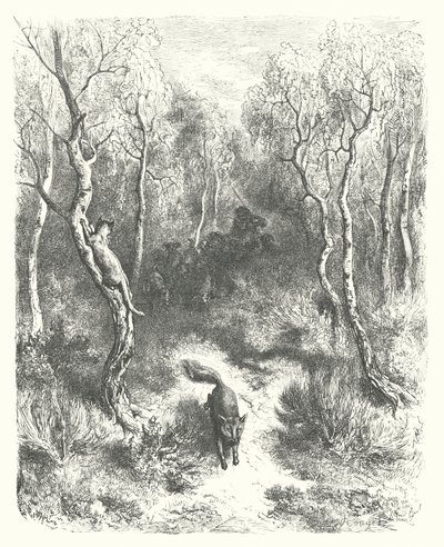 La Fontainovy bajky: Kočka a liška (rytina) od Gustave Dore