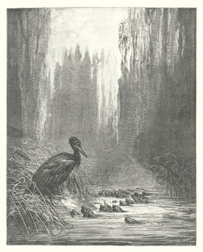 La Fontainovy bajky: Kormorán a ryby (rytina) od Gustave Dore