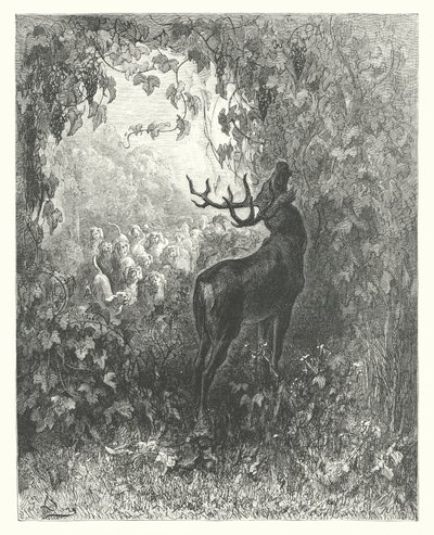 La Fontainovy bajky: (rytina): Pohádka o jelenovi a vinné révě od Gustave Dore