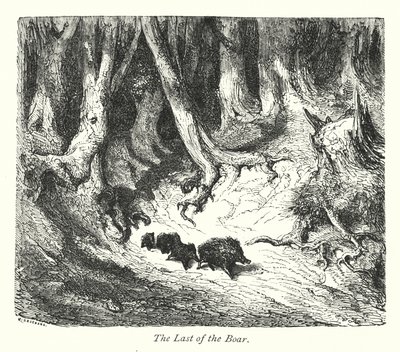 Poslední kanec (rytina) od Gustave Dore