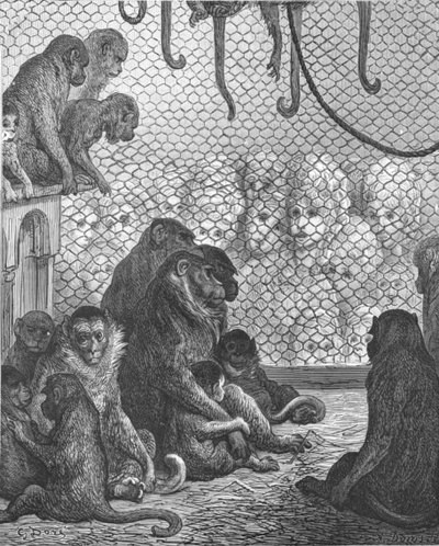 "Zoologická zahrada - The Monkey House", 1872. od Gustave Dore