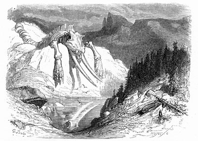 rytina Gustava Doreho z roku 1850: evokuje apokalyptickou potopu, po níž na horu padla různá obludná zvířata. Ilustrace ke knize Hippolyta Taina "Cesta do Pyrenejí", v níž se objevují zkamenělé kosti. od Gustave Dore