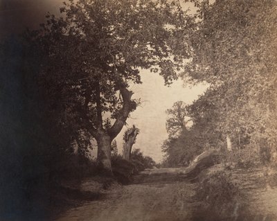 Fontainebleau, písečná cesta do kopce, ca. 1856. od Gustave Le Gray