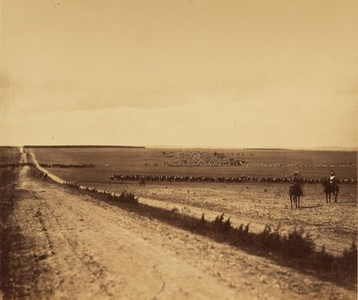 [Manévry, Camp de Chalons]. od Gustave Le Gray