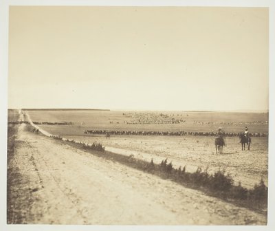 Manévry, Camp de Châlons, 1857. od Gustave Le Gray