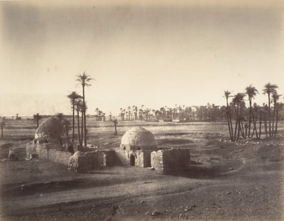 Pohled na Thébskou pláň z chrámu v Karnacu, 1867. od Gustave Le Gray