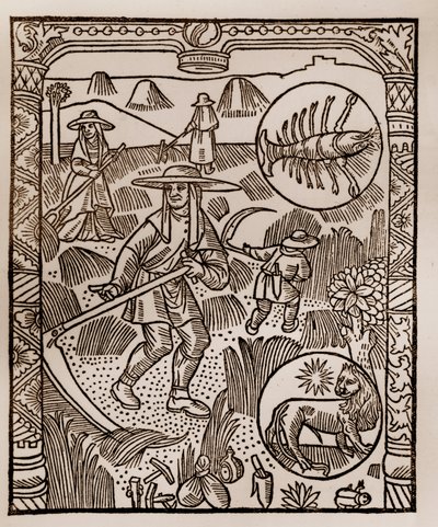 Pastýřský kalendář - Práce měsíců - Červenec - Dřevoryt z knihy z roku 1496 vytištěné Guyem Marchantem (Guido Mercator) v Troyes - Hay, la coupe des hay - Rytina sur bois v „“Le grand Calendrier et compost des shepherds““ - od Guy Marchant