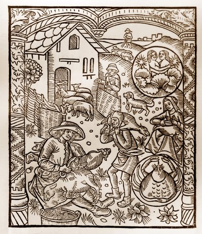Pastýřský kalendář - Práce měsíců - Červen - Dřevoryt z knihy z roku 1496 vytištěné Guy Marchantem (Guido Mercator) v Troyes - Dřevoryt v „Le grand Calendrier et compost des shepherds“ - od Guy Marchant