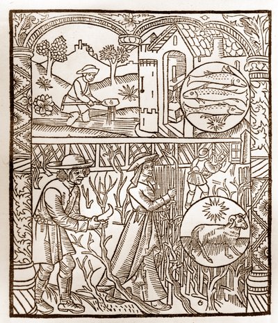 Pastýřský kalendář - Práce měsíců - Březen - Dřevoryt z knihy z roku 1496 vytištěné Guy Marchantem (Guido Mercator) v Troyes - Dřevoryt v „Le grand Calendrier et compost des shepherds“ - od Guy Marchant
