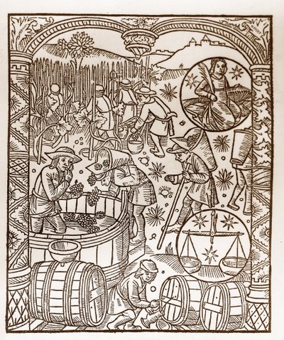 Pastýřský kalendář - Práce měsíců - Říjen - Dřevoryt z knihy z roku 1496 vytištěné Guyem Marchantem (Guido Mercator) v Troyes - Dřevoryt v „“Le grand Calendrier et compost des shepherds““ – Sklizeň – a znamení zvěrokruh: od Guy Marchant