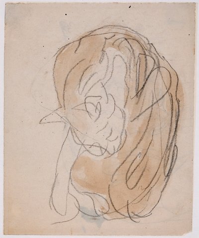 Studie koček (akvarel s tužkou na papíře) od Gwen John