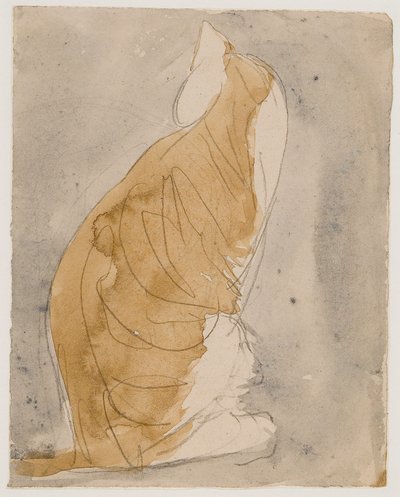 Studie kočky (akvarel a tužka na papíře) od Gwen John