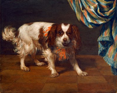 King Charles španěl (olej na panelu) od Gysbert van de Kuyl
