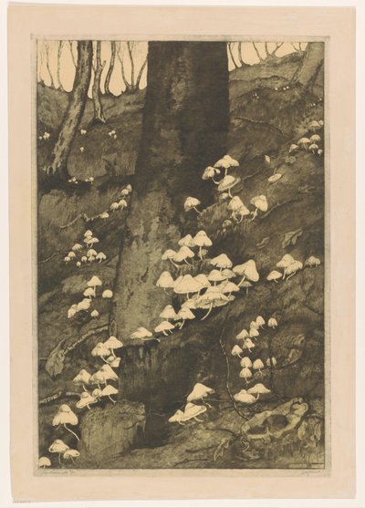 Houby v lese Podzim (původní název) od H.C. Spruit (signed by artist)