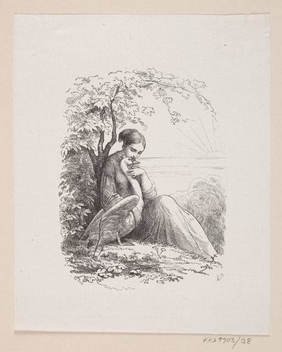 Ilustrace pro "The Wild Swans" v H.C. Andersen, "Pohádky a příběhy", svazek 1 od H.P. Hansen