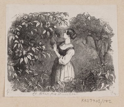 Ilustrace pro "Leaf from Heaven" v H.C. Andersen, "Pohádky a příběhy", svazek 2 od H.P. Hansen