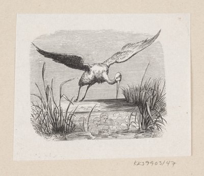 Ilustrace pro "The Storks" v H.C. Andersen, "Pohádky a příběhy", svazek 1 od H.P. Hansen