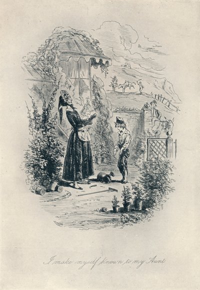Dávám o sobě vědět své tetě. Lept od Davida Copperfielda, c1840-1880, 1923 od Hablot Knight Browne