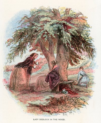 Ilustrace pro Bleak House od Hablot Knight Browne