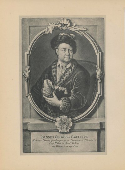 Portrét přírodovědce, botanika a geografa Johanna Georga Gmelina 1709-1755, polovina 18. stol. od Haid