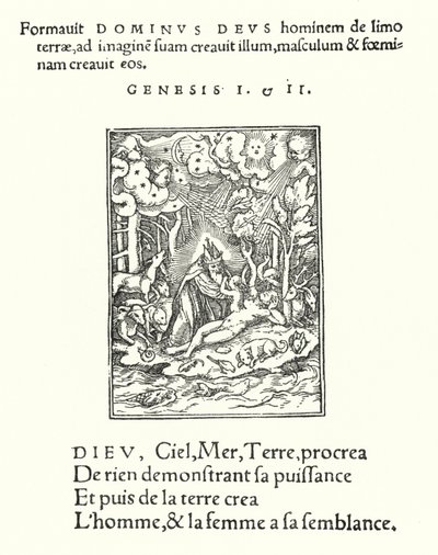 Stvoření (rytina) od Hans (after) Holbein the Younger