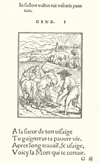Oráč nebo farmář (rytina) od Hans (after) Holbein the Younger
