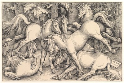 Skupina sedmi koní, 1534. od Hans Baldung