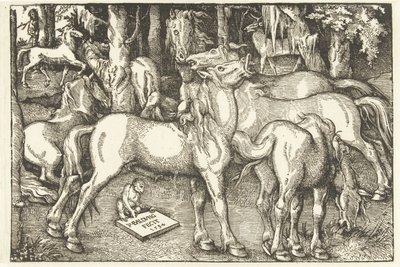 Skupina sedmi koní a opice od Hans Baldung Grien