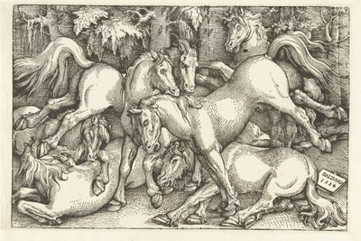 Skupina sedmi bojových koní od Hans Baldung Grien