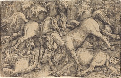 Skupina sedmi koní v lese od Hans Baldung Grien