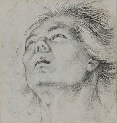 Hlava mladého muže, viděná zdola od Hans Baldung Grien