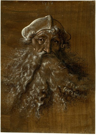 Hlava starého muže s hustým plnovousem od Hans Baldung Grien