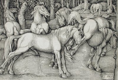 Hřebec a kopající klisna uprostřed skupiny divokých koní v lese od Hans Baldung Grien