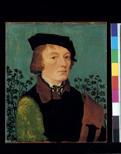 Portrét muže před živým plotem z růží (olej na dřevě) od Hans Baldung Grien