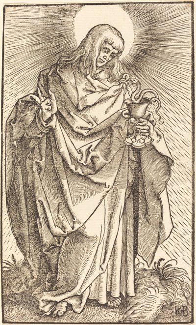 Svatý Jan od Hans Baldung Grien
