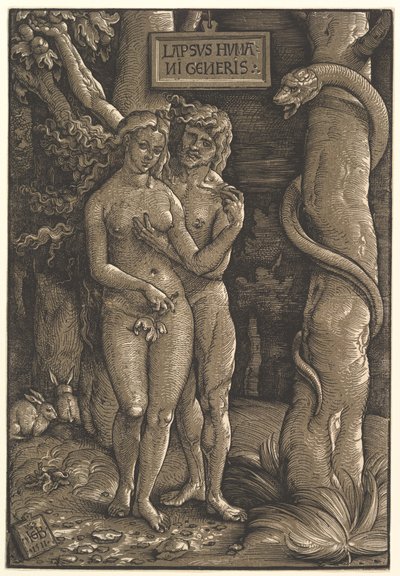 Pád lidstva, 1511 od Hans Baldung Grien