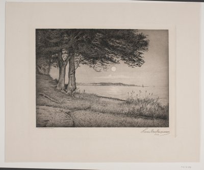 fjord Vejle od Hans Christian Gether Caspersen