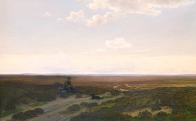 Pohled na Pårup Moors poblíž Silkeborg, Jutsko od Hans Friis
