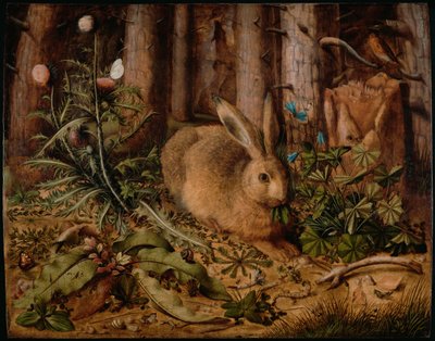 Zajíc v lese, asi 1585 od Hans Hoffmann