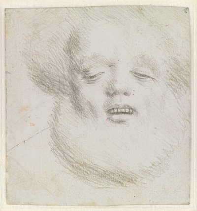 Hlava vousatého muže při pohledu zespodu od Hans Holbein d.Æ.