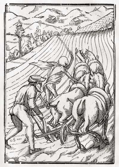 Smrt přichází pro farmáře nebo manžela, vyryl Georg Scharffenberg, z „Der Todten Tanz“, vydaného v Basileji, 1843 od Hans Holbein der Jüngere