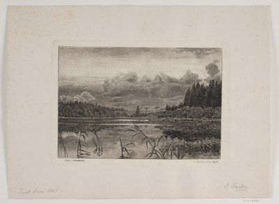 Jezero ve smrkovém lese od Hans Julius Fæster